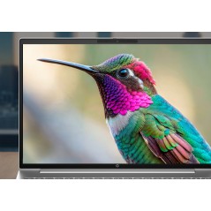 HP DQ6N4AT laptop Intel Core 7 350 Computer portatile 40,6 cm (16") WUXGA 16 GB LPDDR5x-SDRAM 512 GB SSD Wi-Fi 7 (802.11be)