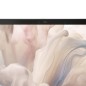 DELL Pro 14 Premium PA14250 Intel Core Ultra 7 266V Computer portatile 35,6 cm (14") Full HD+ 16 GB LPDDR5x-SDRAM 512 GB SSD DELL Pro 14 Premium PA14250 Intel Core Ultra 7 266V Computer portatile 35,6 cm (14") Full HD+ 16 GB LPDDR5x-SDRAM 512 GB SSD