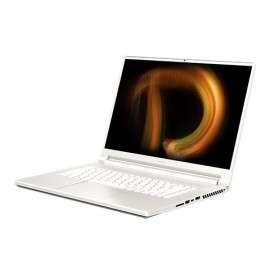 Acer ConceptD CN516-72G-78M5 Computer portatile 40,6 cm (16") WQXGA+ Intel® Core™ i7 16 GB DDR4-SDRAM 1000 GB SSD NVIDIA NX.C...