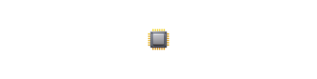 Processori (CPU)