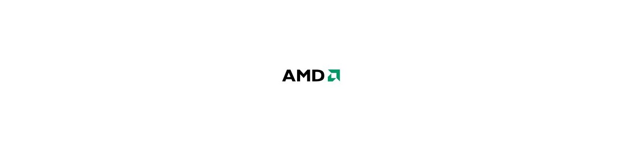 PROCESSORI AMD